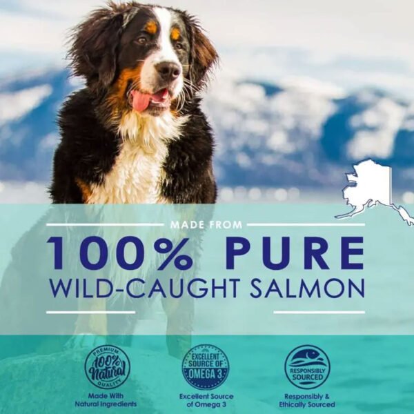PET Fish Oil Soft Capsules - Image 2