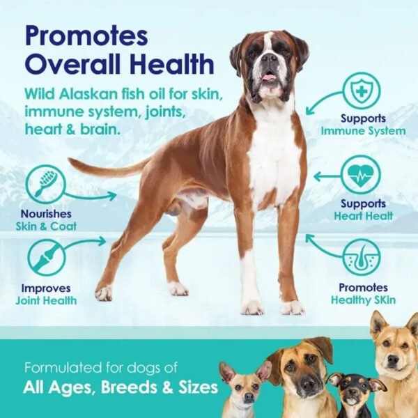 PET Fish Oil Soft Capsules - Image 3