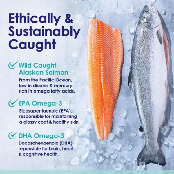 PET Fish Oil Soft Capsules - Image 4