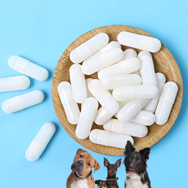 PET Lactoferrin Capsules - Image 2