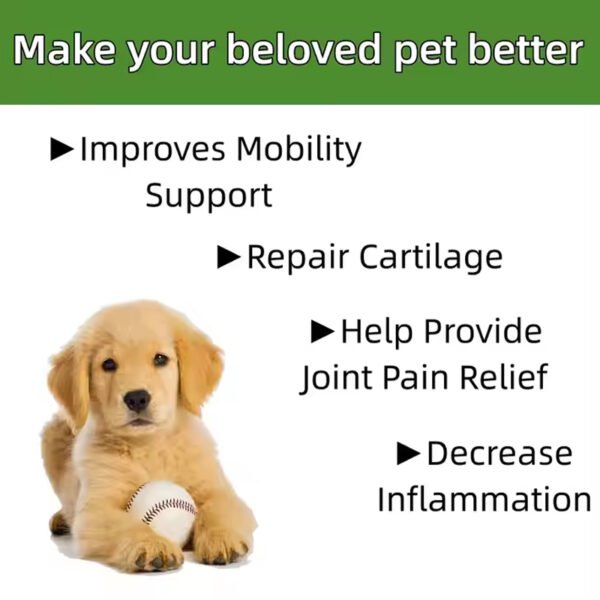 Joint Health Liquid Drop Supplement - Image 3