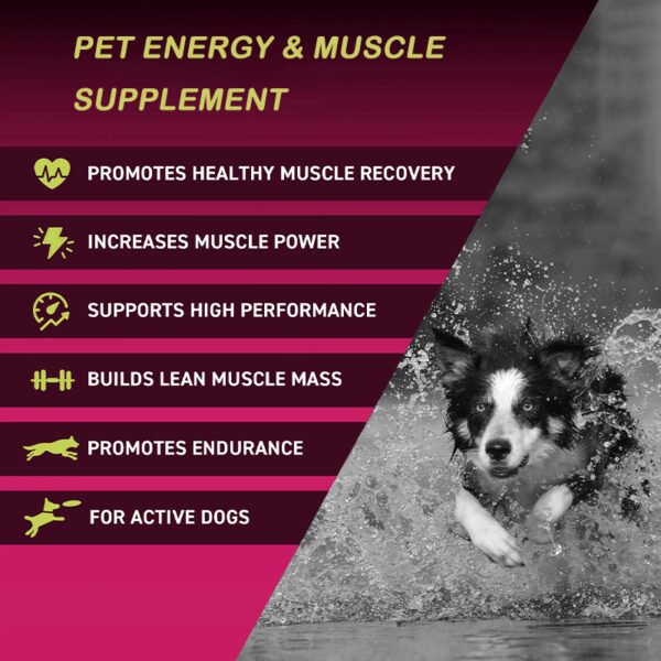 Energy & Muscle Powders Supplement - Image 2