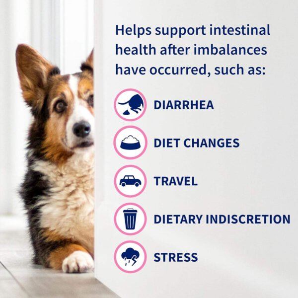 10 in 1 Multivitamin Chewable Tablets - Image 3