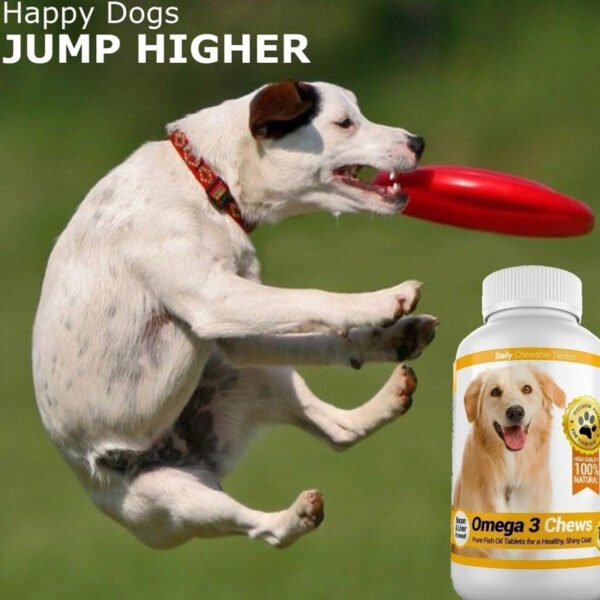Omega-3 Fish Oil Chewable Tablets - Image 4