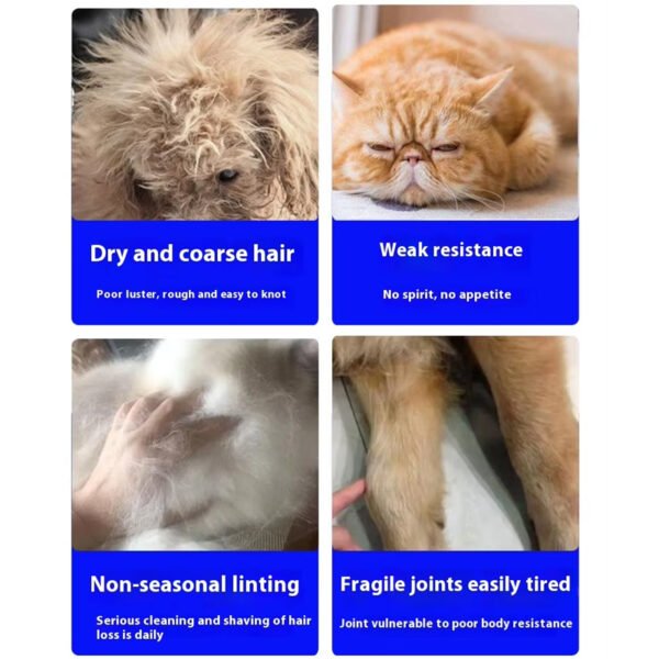 5 in 1 Pet Daily Nutrition Pack - Image 2